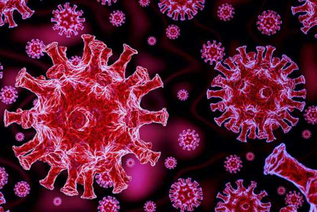 Coronavirus, in Puglia 36 nuovi casi: positivo il 2,78% dei tamponi